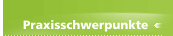 Praxisschwerpunkte